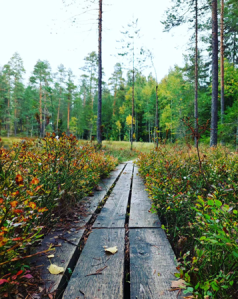 Lahti Lapakisto nature reserve